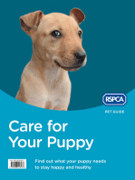 Care for Your Puppy