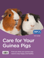 Care for Your Guinea Pigs