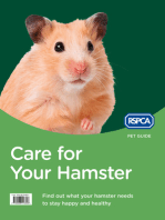 Care for Your Hamster