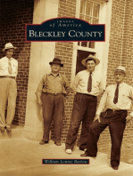 Bleckley County