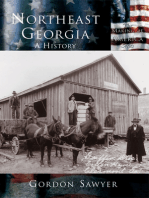 Northeast Georgia: A History