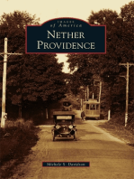 Nether Providence