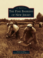 The Pine Barrens of New Jersey