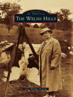 The Welsh Hills