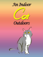 An Indoor Cat Outdoors
