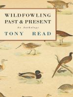 Wildfowling Past & Present - An Anthology