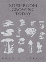 Mushroom Growing Today