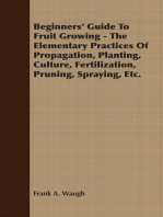 Beginners' Guide To Fruit Growing - The Elementary Practices Of Propagation, Planting, Culture, Fertilization, Pruning, Spraying, Etc.
