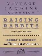 Raising Rabbits for Fur, Meat and Profit