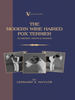 The Modern Wire Haired Fox Terrier - Its History, Points & Training (A Vintage Dog Books Breed Classic): Vintage Dog Books