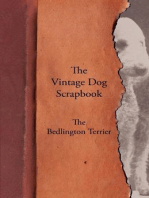 The Vintage Dog Scrapbook - The Bedlington Terrier