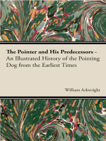 The Pointer and His Predecessors