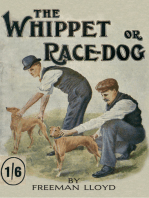 The Whippet or Race Dog: Its Breeding, Rearing, and Training for Races and for Exhibition. (With Illustrations of Typical Dogs and Diagrams of Tracks)