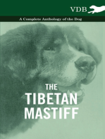 The Tibetan Mastiff - A Complete Anthology of the Dog