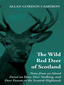 The Wild Red Deer of Scotland - Notes from an Island Forest on