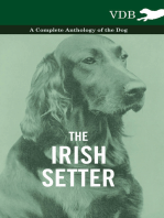 The Irish Setter - A Complete Anthology of the Dog