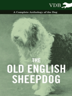 The Old English Sheepdog - A Complete Anthology of the Dog