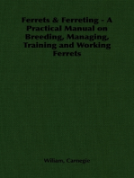 Ferrets & Ferreting - A Practical Manual on Breeding, Managing, Training and Working Ferrets