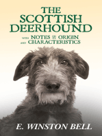 The Scottish Deerhound with Notes on its Origin and Characteristics