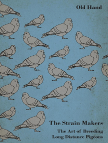 Pigeon genetics game