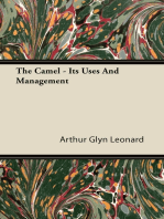 The Camel - Its Uses and Management