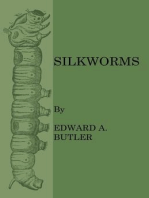 Silkworms