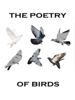 The Poetry Of Birds