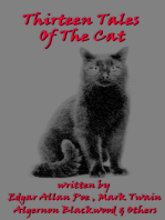 13 Tales Of The Cat