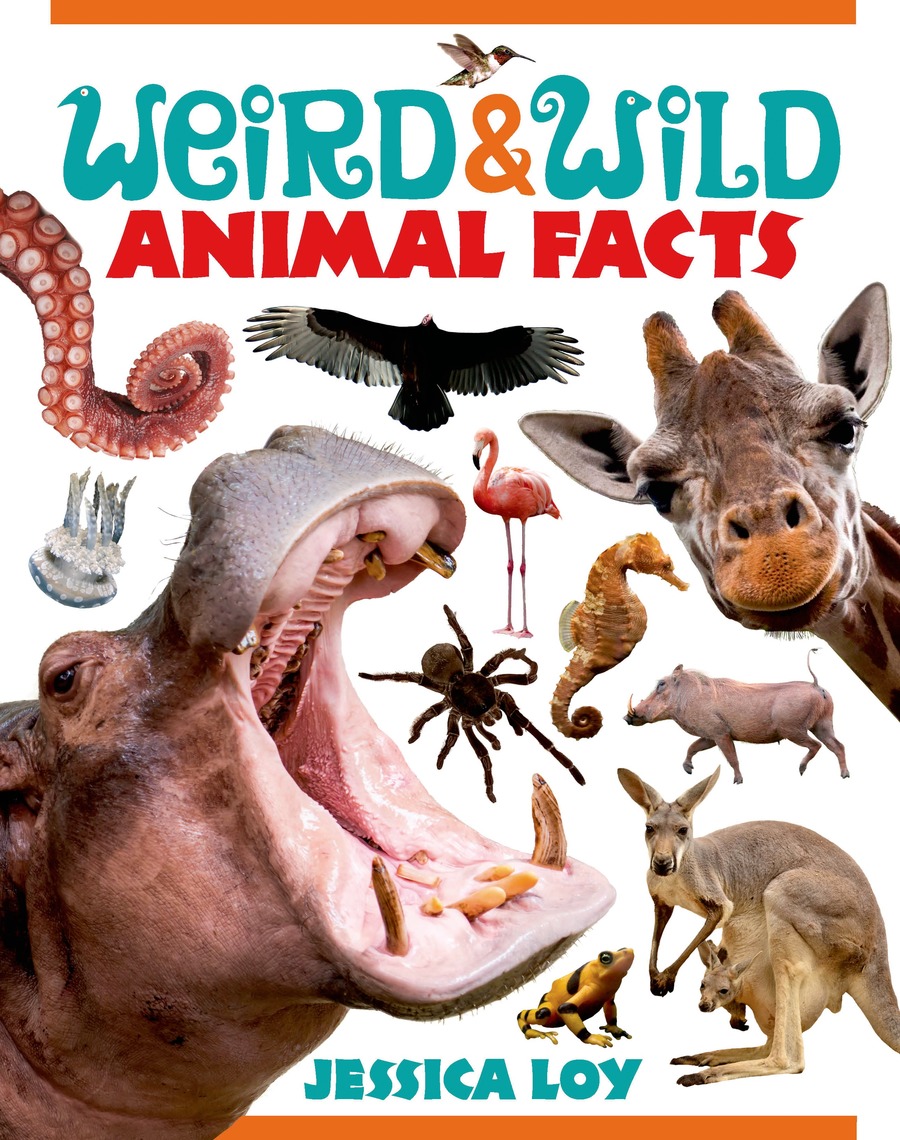 Read Weird & Wild Animal Facts Online by Jessica Loy | Books | Free 30