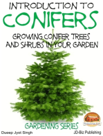 Introduction to Conifers: Growing Conifer Trees and Shrubs in Your Garden