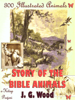 Story of the Bible Animals: [300 Illustrated Animals]