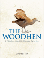 The Woodhen: A Flightless Island Bird Defying Extinction