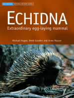 Echidna: Extraordinary Egg-Laying Mammal