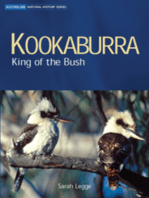 Kookaburra: King of the Bush