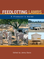 Feedlotting Lambs: A Producer's Guide