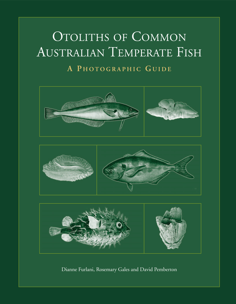 Otoliths of Common Australian Temperate Fish by Dianne Furlani, Rosemary  Gales, David Pemberton - Ebook