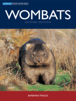 Wombats