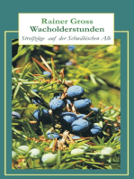 Wacholderstunden