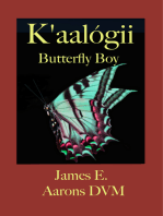 K’aalógii Butterfly Boy