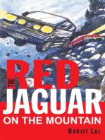 The Red Jaguar: On the Mountain