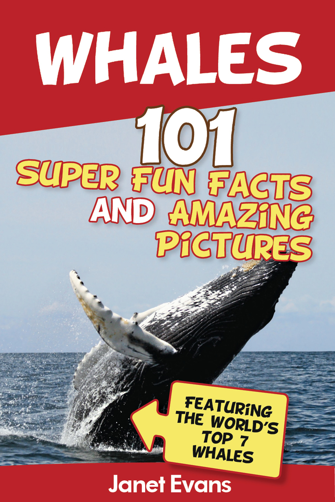 Whales: 101 Fun Facts & Amazing Pictures (Featuring The World's Top 7 ...