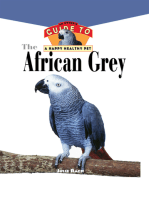 The African Grey