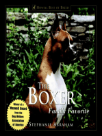 The Boxer: Family Favorite