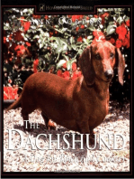 The Dachshund