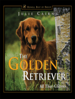 The Golden Retriever: All That Glitters