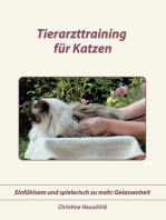 Tierarzttraining für Katzen: Einfühlsam und spielerisch zu mehr Gelassenheit