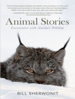 Animal Stories