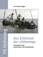 Das Schicksal der Hoheweg: 8. November 2006: Katastrophe in den Nordergründen