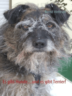 Es gibt Hunde....und es gibt Terrier!: Ein amüsantes Büchlein über das Zusammenleben mit einem liebenswerten Terriermischling