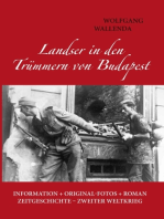 Landser in den Trümmern von Budapest: Information + Originalfotos + Roman. Zeitgeschichte - Zweiter Weltkrieg